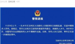 广西最新爆料视频新闻,揭秘神秘事件背后的真相